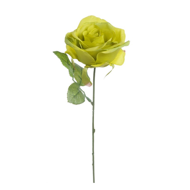 Róża pojedyncza 30 cm