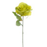 Róża pojedyncza 30 cm