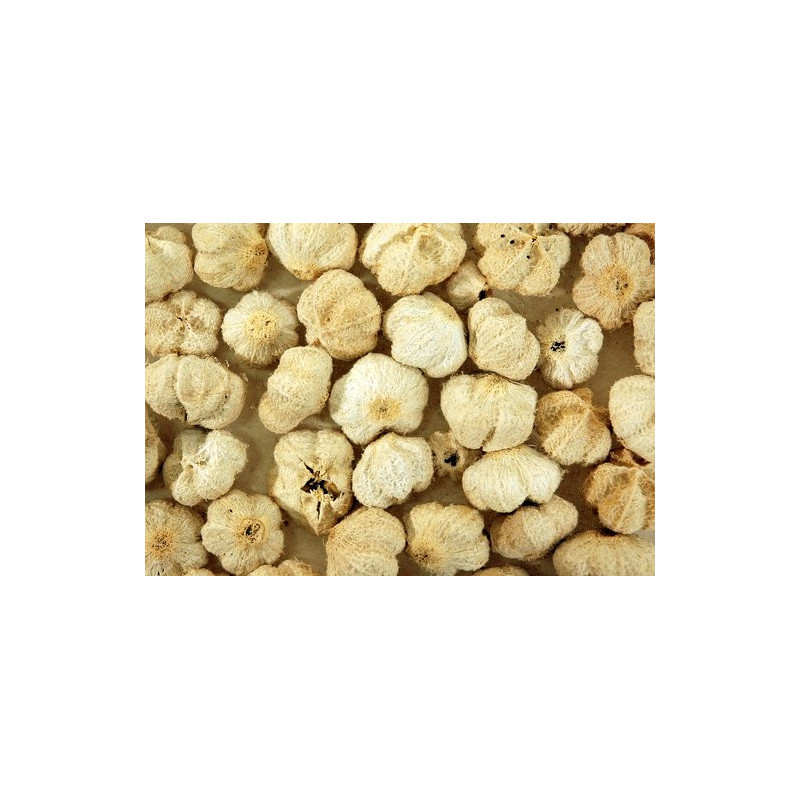 Paras Pod wybielany LUZ