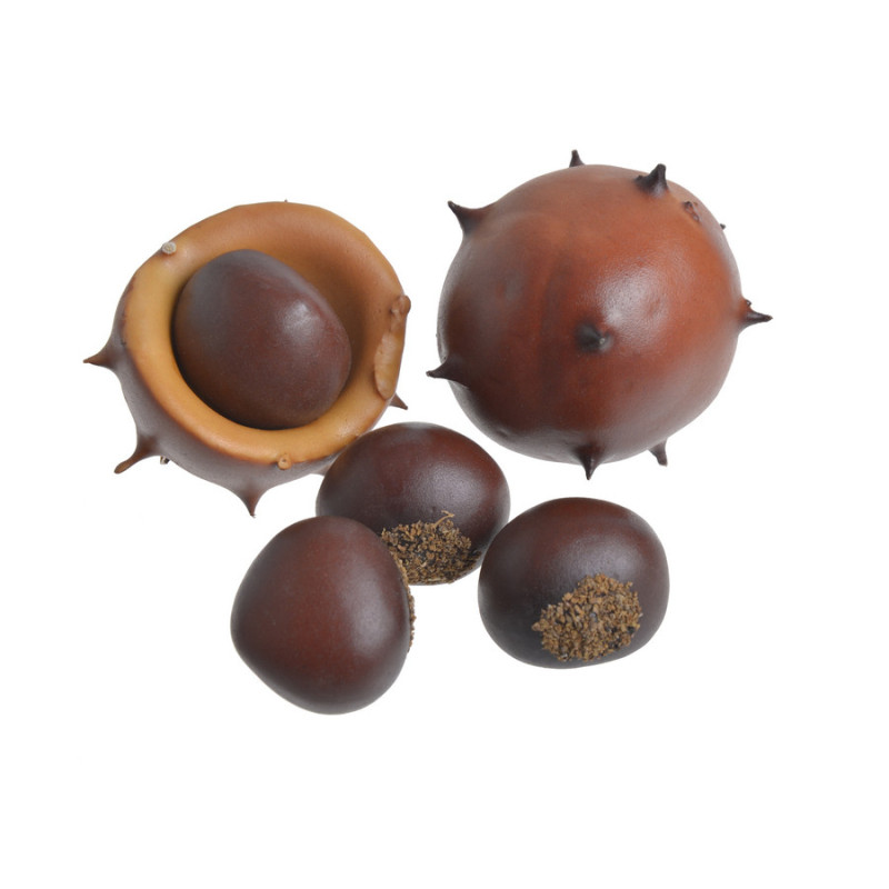 Kasztany mix 5szt-paczka