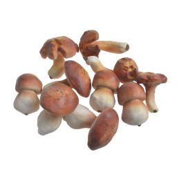 Grzyby 10sztuk/paczka..9cm-7cmH - art. dekoracyjny