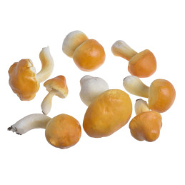 Grzyby sztuczne 6-9 cm, 8szt-paczka