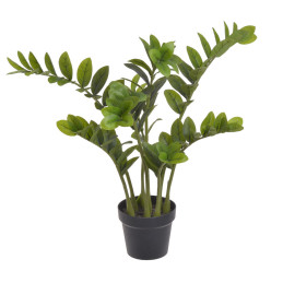 Drzewo Zamiokulkas w doniczce..72cm - art. dekoracyjny