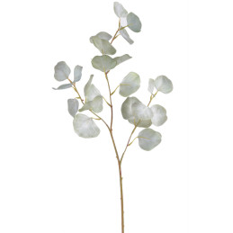 Eukaliptus populus..70cm - sztuczna roślina