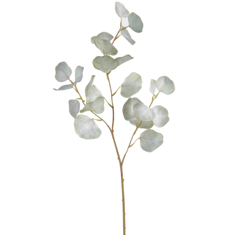 Eukaliptus populus..70cm - sztuczna roślina