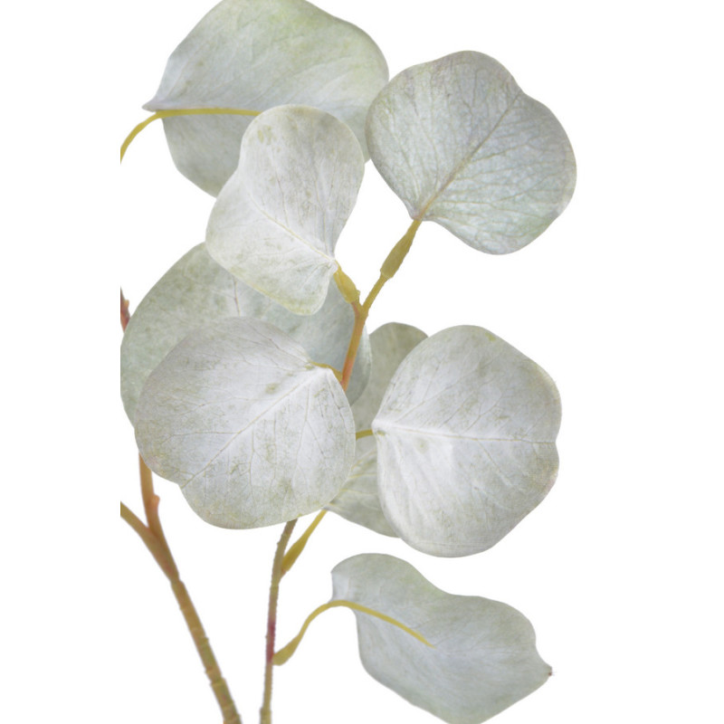 Eukaliptus populus..70cm - sztuczna roślina