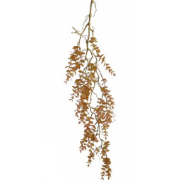 Eukaliptus wiszący 100cm