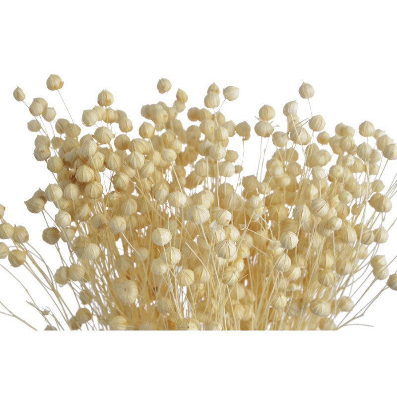 Len biały pęczek...+-55cm