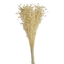 Len biały pęczek...+-55cm