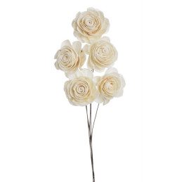 Shola beauty rose 6cm+pik, 5szt-pacz - susz