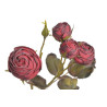 81CAN1-4356_04