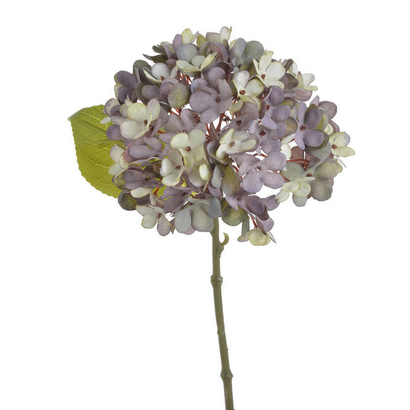 86CAN90632_04