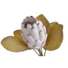 Protea x1 66cm - sztuczna roślina