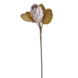 Protea x1 66cm - sztuczna roślina