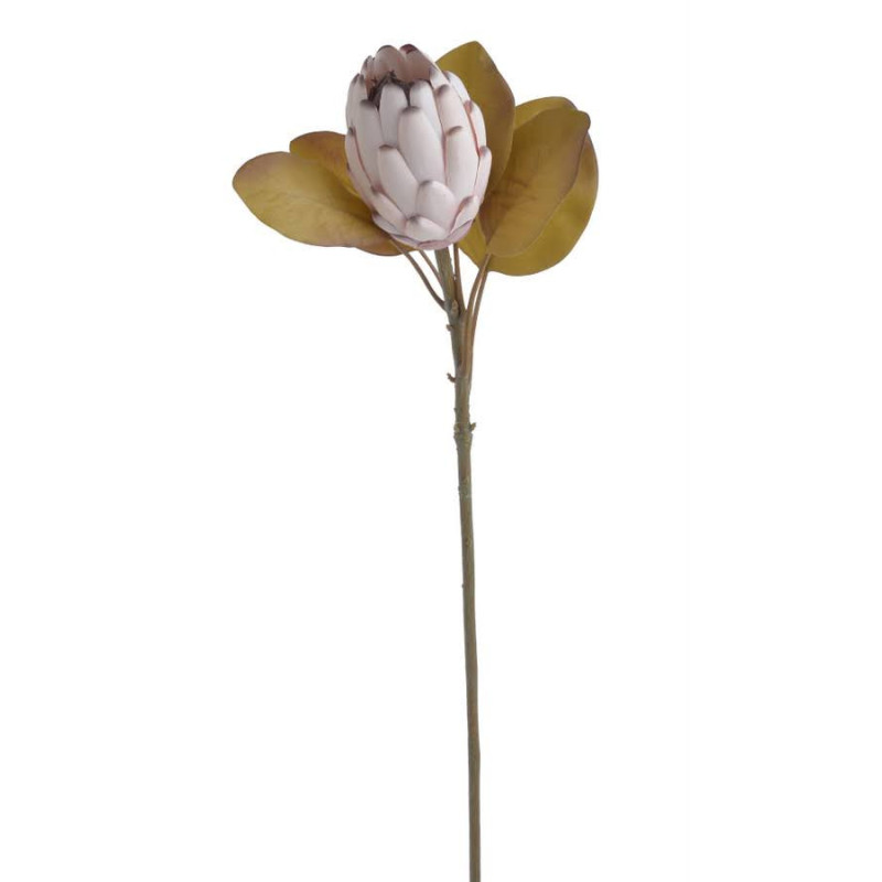 Protea x1 66cm - sztuczna roślina