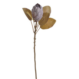 Protea x1 66cm - sztuczna roślina