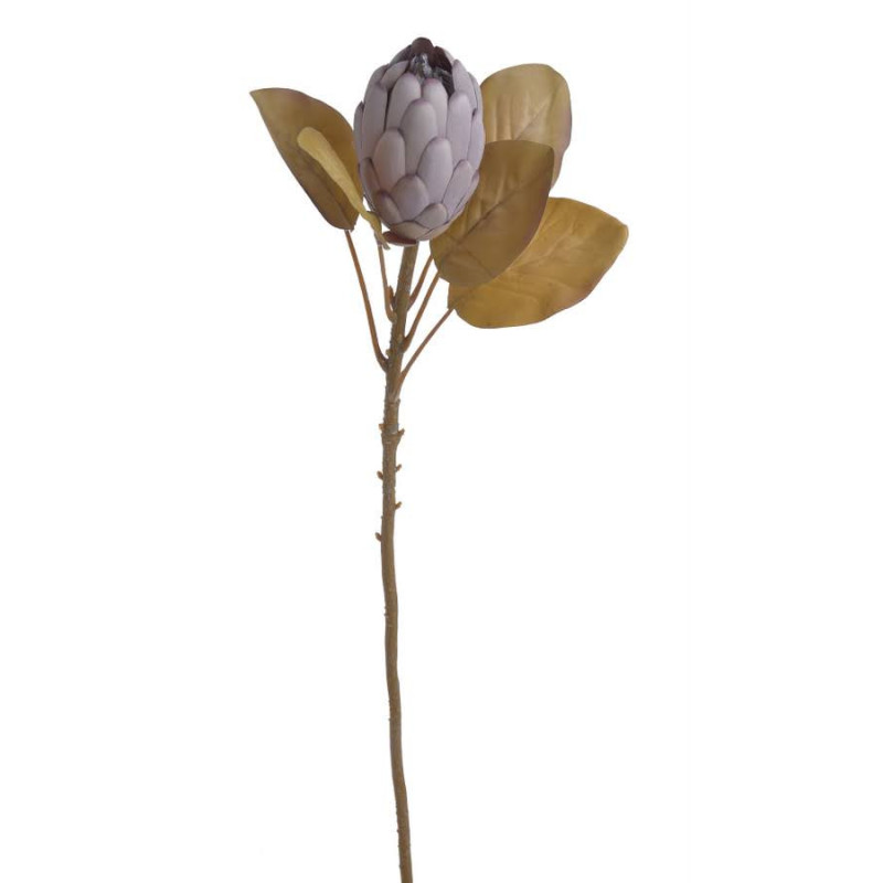 Protea x1 66cm - sztuczna roślina