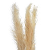 Trawa pampasowa 3szt/pacz...CREAM..100-115cm