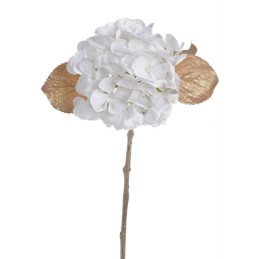Hortensja brokacona x1..48cm