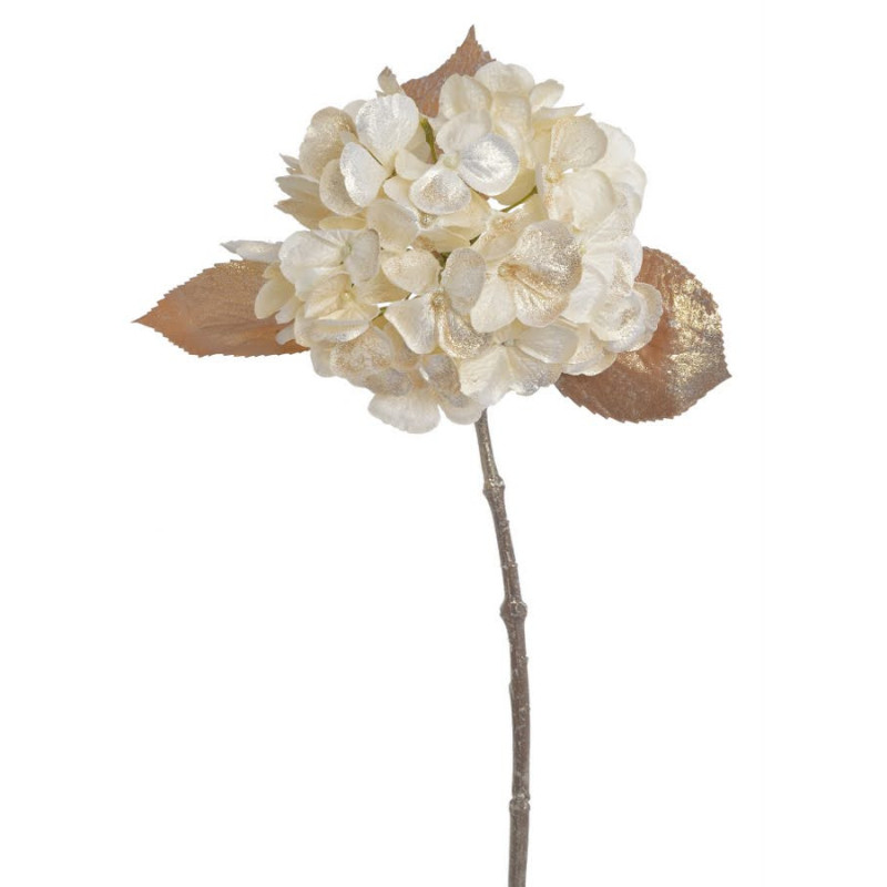 Hortensja brokacona x1..48cm