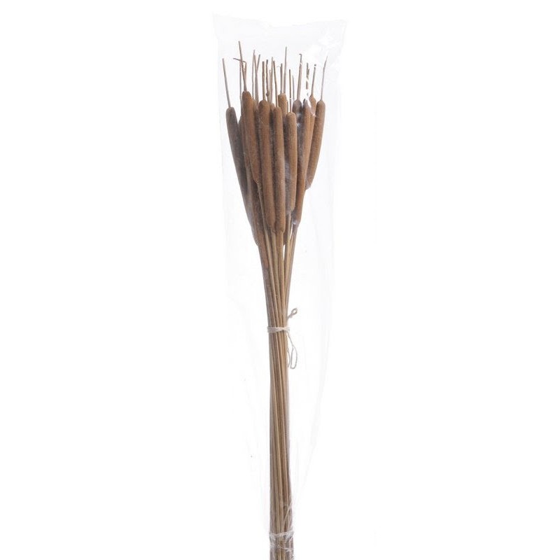 Hogla medium natura paczka/25sztuk 70cm - susz dekoracyjny