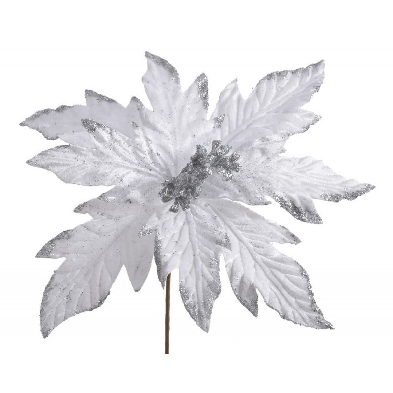 Poinsecja x1..27cmHx29cm∅