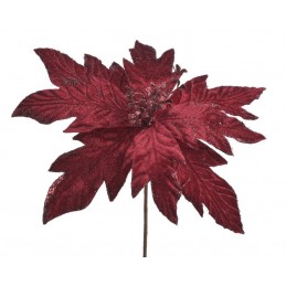 Poinsecja x1..27cmHx29cm∅