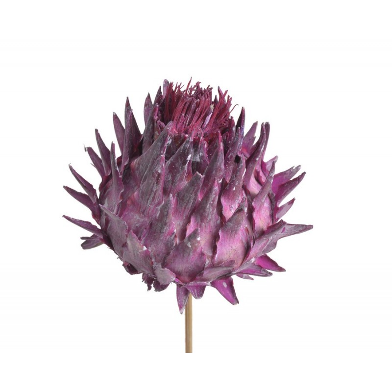 Cynara flower medium frosted erika..30-40 cm - susz afrykański
