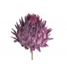 Cynara flower medium frosted erika..30-40 cm - susz afrykański