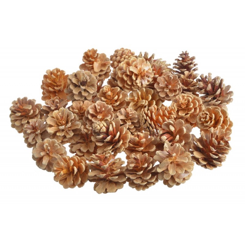 Szyszka pinus niger wyb. pacz 0,5kg - czarna sosna wybielana