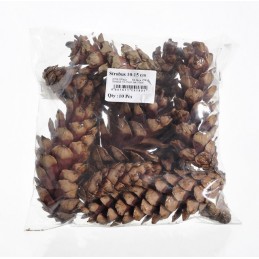 Szyszka strobus 10-15cm lak. 10szt/paczka
