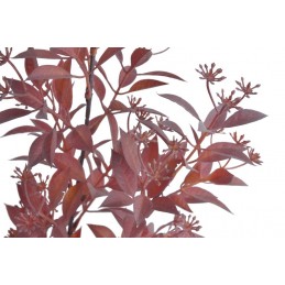 Ruskus z pąkami gałązka..69cm