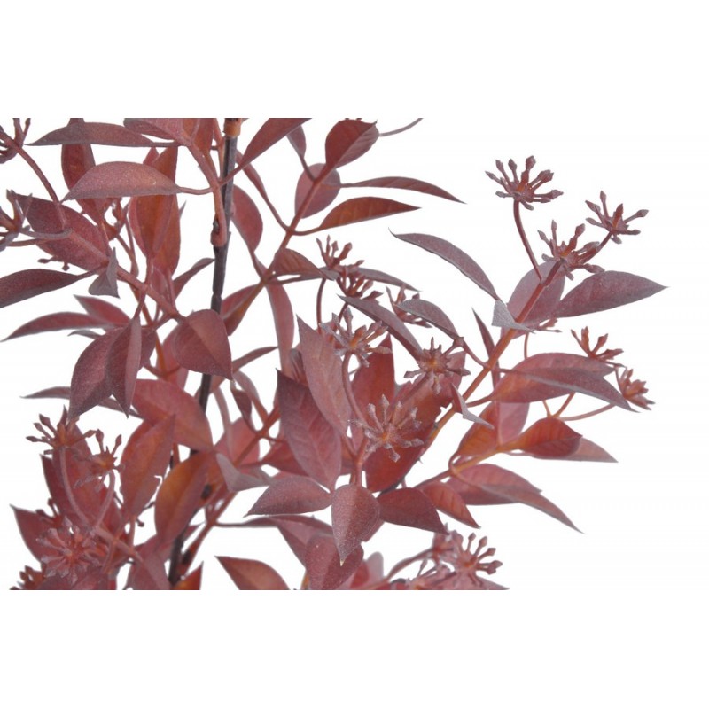 Ruskus z pąkami gałązka..69cm