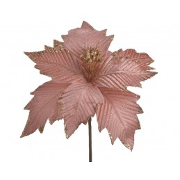 Poinsecja x1..20cmH, 22cm∅