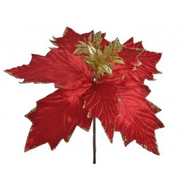 Poinsecja x1..26cmHx27cm∅