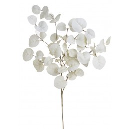 Eukaliptus populus gałązka 80cm - sztuczna roślina WHITE