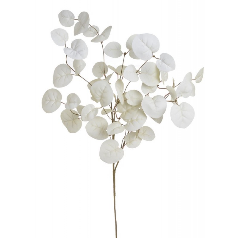 Eukaliptus populus gałązka 80cm - sztuczna roślina WHITE