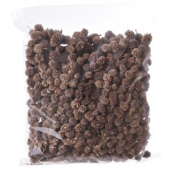Casurina pods-pacz.500g..2-3cm