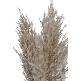 Trawa pampasowa 3szt/pacz...NATURAL..100-115cm