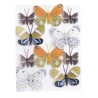 Motyl 12cm z klipem 12szt/kpl