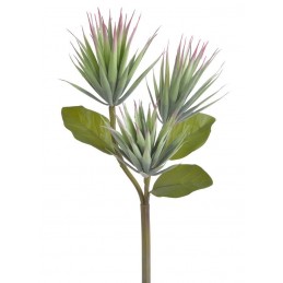 Mini agawa x3 na gałązce ..42cm