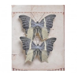 Motyl na klipie 2szt/kpl..6cm