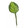 Funkia liść 12szt..50cm - sztuczna roślina