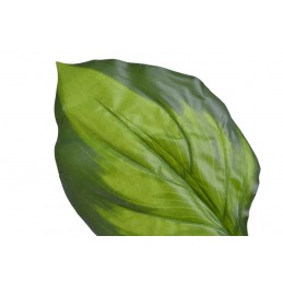 Funkia liść 12szt..50cm - sztuczna roślina