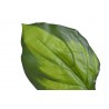 Funkia liść 12szt..50cm - sztuczna roślina