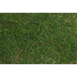 Mata z mchu 40x30cm - art. dekoracyjny