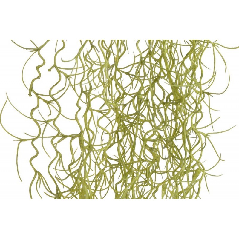 Tilancja zwisająca 87cm  -sztuczna roślina