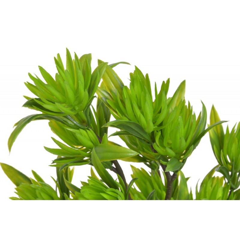 Sukulenty na gałązce 38cm - sztuczna roślina