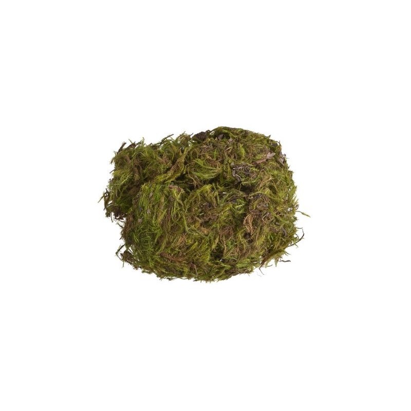 Mech zielony - green moss 7 kg - BRAZYLIA