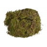 Mech zielony (Green Moss) - paczka 100g